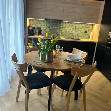 アパート Parking Podziemny グリヴィツェ